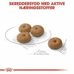 Royal Canin Mini Sterilised Adult -Kjæledyrutstyr Salgsbutikk royal canin mini sterilised adult f7