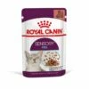 Royal Canin Sensory Feel 12x85 G -Kjæledyrutstyr Salgsbutikk royal canin sensory feel gravy 12x85g az 41