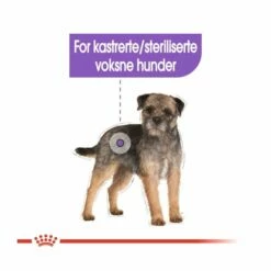 Royal Canin Sterilised Adult 12x85 G -Kjæledyrutstyr Salgsbutikk royal canin sterilised adult 12x85 g 78