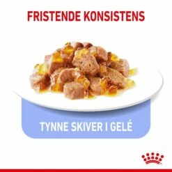 Royal Canin Cat Light Weight Care Jelly Våtfoder (12x85g) -Kjæledyrutstyr Salgsbutikk royal canin ultra light in jelly 12 x 85 g 6c