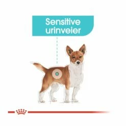 Royal Canin Urinary Care Mini Adult -Kjæledyrutstyr Salgsbutikk royal canin urinary care mini adult bc