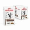 Royal Canin Veterinary Diets Cat Gastrointestinal Moderate Calorie 12x85 G -Kjæledyrutstyr Salgsbutikk royal canin veterinary diets cat gastrointestinal moderate calorie wet 12x85g az fe