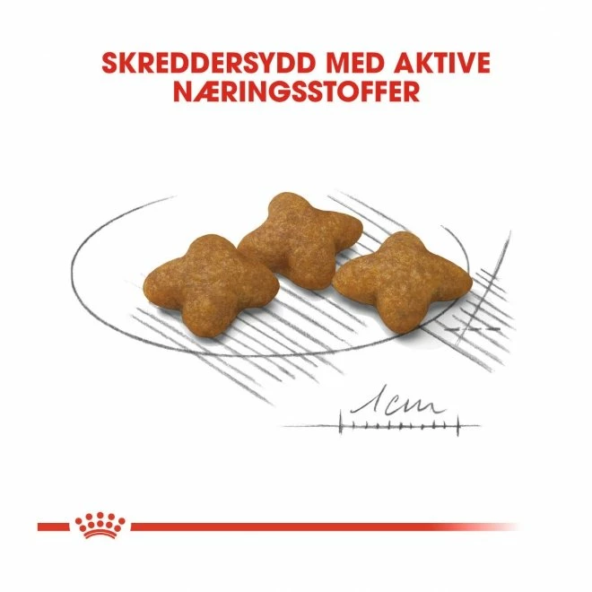 Royal Canin Dog Adult Sterilised X-Small 5 Royal Canin Dog Adult Sterilised X-Small - Bilde 3