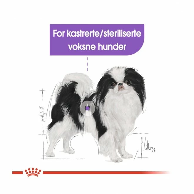 Royal Canin Dog Adult Sterilised X-Small 7 Royal Canin Dog Adult Sterilised X-Small - Bilde 5