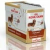 Royal Canin Tax/Dachshund Wet (12x85g) -Kjæledyrutstyr Salgsbutikk royal canin breed wet royal canin dascshund wet 12x85g 17
