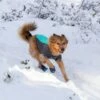 Ruffwear Cloud Chaser Hundejakke Turkis -Kjæledyrutstyr Salgsbutikk ruffwear cloud chaser jacka aurora teal 5f