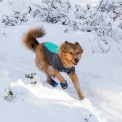 Ruffwear Cloud Chaser Hundejakke Turkis