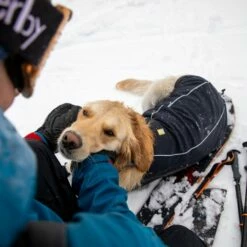 Ruffwear Cloud Chaser Hundejakke Svart -Kjæledyrutstyr Salgsbutikk ruffwear cloud chaser jacka obsidian svart 35