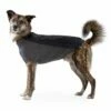 Ruffwear Cloud Chaser Hundejakke Svart -Kjæledyrutstyr Salgsbutikk ruffwear cloud chaser jacka obsidian svart f8