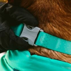 Ruffwear Confluence Hundehalsbånd Turkis -Kjæledyrutstyr Salgsbutikk ruffwear confluence halsband aurora teal 9a