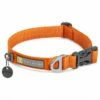 RuffWear Front Range Hundehalsbånd Oransje -Kjæledyrutstyr Salgsbutikk ruffwear front range koiran panta oranssi az d4