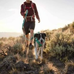 Ruffwear Front Range Hundesele Turkis -Kjæledyrutstyr Salgsbutikk ruffwear front range koiran valjaat turkoosi az 6d