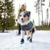 Ruffwear Polar Trex Hundeskor 2-pakke Blå