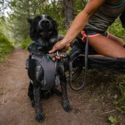 RuffWear Roamer Strikkobbel Grå -Kjæledyrutstyr Salgsbutikk ruffwear roamer joustotalutin harmaa az 18