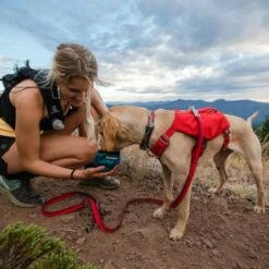 RuffWear Roamer Strikkobbel Rød -Kjæledyrutstyr Salgsbutikk ruffwear roamer joustotalutin punainen az 71