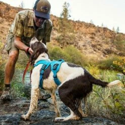 RuffWear Web Master Hundesele Blå 7 RuffWear Web Master Hundesele Blå -Kjæledyrutstyr Salgsbutikk ruffwear uutuudet 2018 138106 ruffwear koiran valjaat webmaster sininen 2 e3