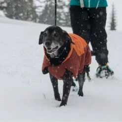 Ruffwear Vert Vinterdekke Oransje 12 Ruffwear Vert Vinterdekke Oransje -Kjæledyrutstyr Salgsbutikk ruffwear vert talvitakki oranssi az 95