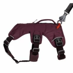 Ruffwear Web Master Hundesele Lila -Kjæledyrutstyr Salgsbutikk ruffwear web master monitoimivaljaat violetti az 43