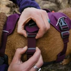 Ruffwear Web Master Hundesele Lila -Kjæledyrutstyr Salgsbutikk ruffwear web master monitoimivaljaat violetti az 62