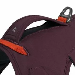 Ruffwear Web Master Hundesele Lila -Kjæledyrutstyr Salgsbutikk ruffwear web master monitoimivaljaat violetti az 6a
