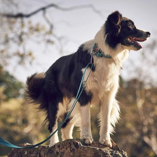 RUKKA Bliss Polar Koppel Nylon Turkos 5 RUKKA Bliss Polar Koppel Nylon Turkos - Bilde 3