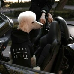 Rukka Pets X Bille Beino Hundegenser Med Hette Svart -Kjæledyrutstyr Salgsbutikk rukka pets x bille beino hundtroja med luva svart 25