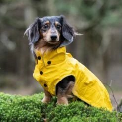 Rukka Stream Regndekke Navy Gul -Kjæledyrutstyr Salgsbutikk rukka stream regntacke gul 09