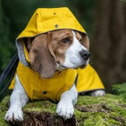 Rukka Stream Regndekke Navy Gul -Kjæledyrutstyr Salgsbutikk rukka stream regntacke gul 39