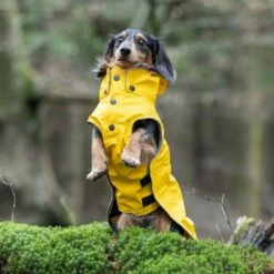 Rukka Stream Regndekke Navy Gul -Kjæledyrutstyr Salgsbutikk rukka stream regntacke gul 91
