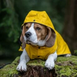 Rukka Stream Regndekke Navy Gul -Kjæledyrutstyr Salgsbutikk rukka stream regntacke gul 9f
