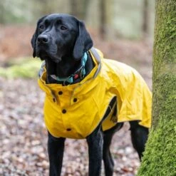 Rukka Stream Regndekke Navy Gul -Kjæledyrutstyr Salgsbutikk rukka stream regntacke gul ff