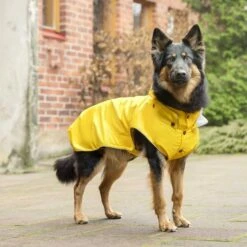 Rukka Stream Regndekke Navy Gul -Kjæledyrutstyr Salgsbutikk rukka stream sadetakki rukka stream keltainen 1 c9