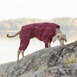 Rukka Thermal Hundeoverall Vinrød -Kjæledyrutstyr Salgsbutikk rukka thermal koiran talvihaalari viininpunainen az ce