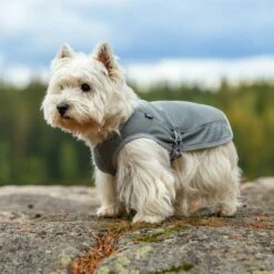 Rukka Kjølevest Grå -Kjæledyrutstyr Salgsbutikk rukka viilennysmantteli harmaa az 89