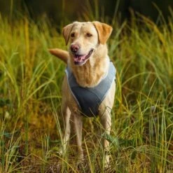 Rukka Kjølevest Grå -Kjæledyrutstyr Salgsbutikk rukka viilennysmantteli harmaa az d4