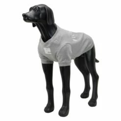 Rukka X BillebeinoBuddy College Hundegenser Grå -Kjæledyrutstyr Salgsbutikk rukka x bille beino buddy college hundtroja gra 29