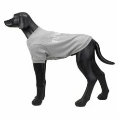 Rukka X BillebeinoBuddy College Hundegenser Grå -Kjæledyrutstyr Salgsbutikk rukka x bille beino buddy college hundtroja gra 53