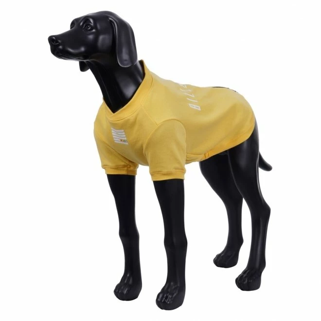 Rukka X Billebeino Buddy College Hundegenser Gul 4 Rukka X Billebeino Buddy College Hundegenser Gul - Bilde 2