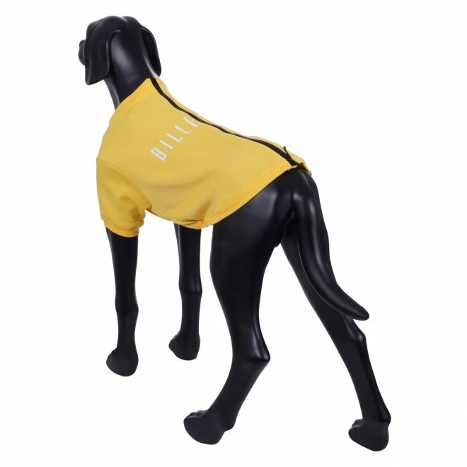 Rukka X Billebeino Buddy College Hundegenser Gul 6 Rukka X Billebeino Buddy College Hundegenser Gul - Bilde 4