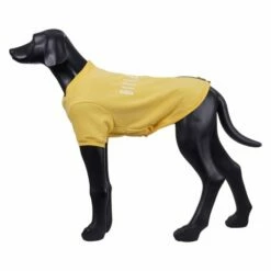 Rukka X Billebeino Buddy College Hundegenser Gul 8 Rukka X Billebeino Buddy College Hundegenser Gul -Kjæledyrutstyr Salgsbutikk rukka x bille beino buddy college hundtroja gul 9d