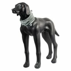 Rukka X BillebeinoChill Kjøleskjerf Grå 5 Rukka X BillebeinoChill Kjøleskjerf Grå -Kjæledyrutstyr Salgsbutikk rukka x bille beino chill cooling tube gra 4a