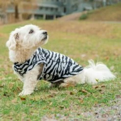 Rukka Zebra Hundetrøye -Kjæledyrutstyr Salgsbutikk rukka zebra paita az e7