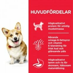 Hill's Science Plan Dog Adult Small & Mini Lamb & Rice -Kjæledyrutstyr Salgsbutikk science plan adult small mini med lamm ris 15 kg d0