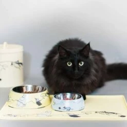 Moomin For Pets Silikon Matte -Kjæledyrutstyr Salgsbutikk silikoonialusta moomin for pets az 83872 96