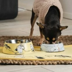 Moomin For Pets Silikon Matte -Kjæledyrutstyr Salgsbutikk silikoonialusta moomin for pets az 83872 a1
