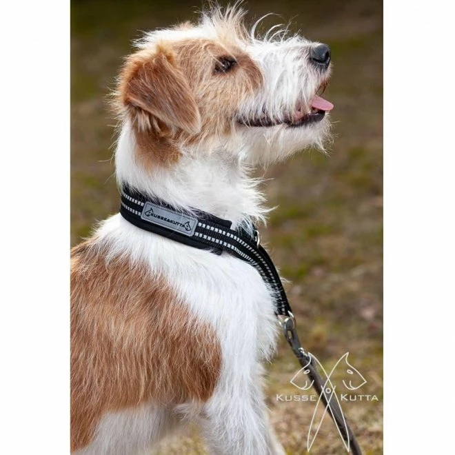 Kusse&Kutta Hundehalsband Softshell Svart 4 Kusse&Kutta Hundehalsband Softshell Svart - Bilde 2