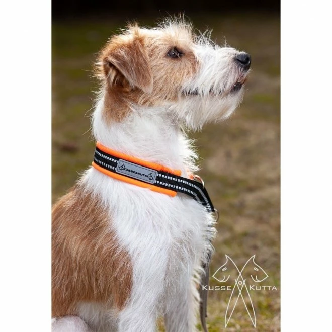 Kusse&Kutta Hundehalsband Oransje 4 Kusse&Kutta Hundehalsband Oransje - Bilde 2