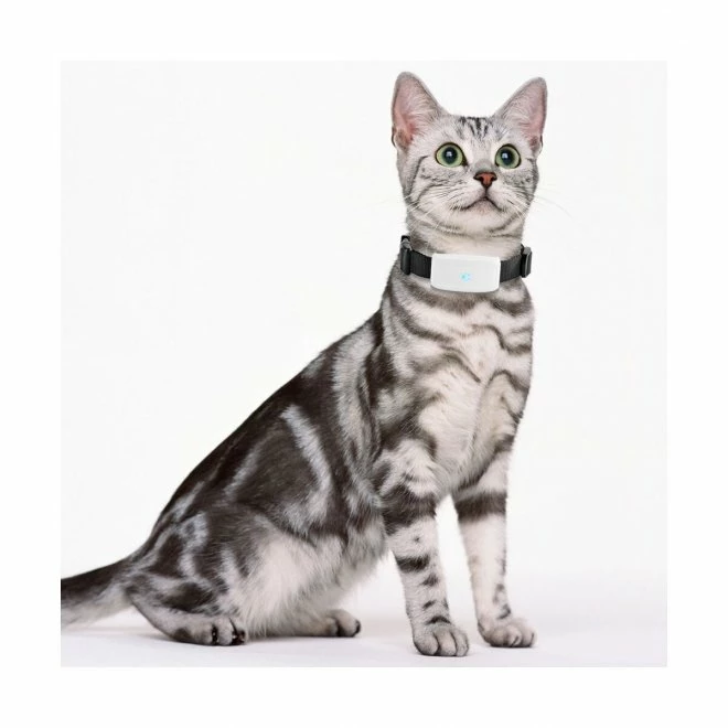 Winnes GPS TK-911 Mini 4 Winnes GPS TK-911 Mini - Bilde 2