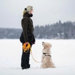 Tyylivoitto Sporline Oransje 6 M -Kjæledyrutstyr Salgsbutikk treeniliina tyylivoitto working 6m oranssi az 7c