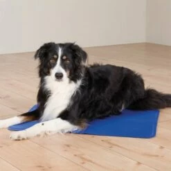 Trixie Kjølematte Blå